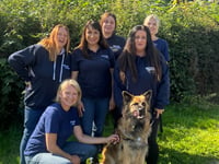 Police funding is helping protect people and pets from domestic abuse