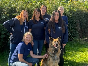 Police funding is helping protect people and pets from domestic abuse