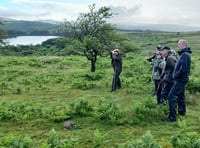 Boost for endangered bird
