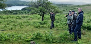 Boost for endangered bird