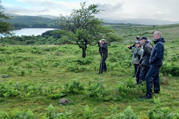 Dartmoor. Commoners, landowners and RSPB Researchers looking for Whinchats