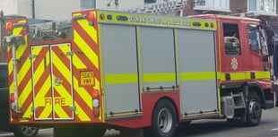 Spaniel saved from 100ft Lifton quarry ledge