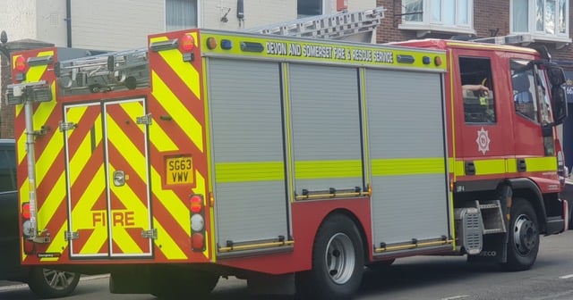 Spaniel saved from 100ft Lifton quarry ledge