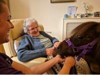 Ponies bring joy at nursing home