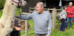 Llama love for wellbeing