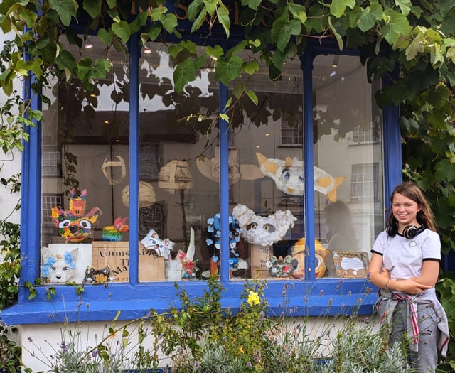 Young artist's first exhibition