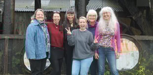 Artists band together to show work