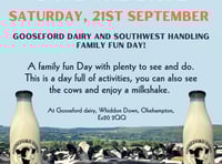 Family Fun: A Behind-the-Scenes Look at Modern Dairy Farming
