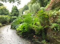 Volunteers needed for Simmons Park