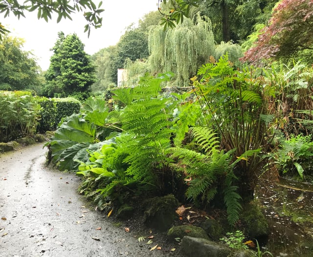 Volunteers needed for Simmons Park