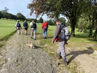 West Devon cycling and walking survey
