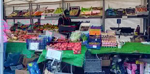 Climate change and cake at library