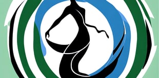 Winning logo design for October’s Tamar Valley River Festival unveiled