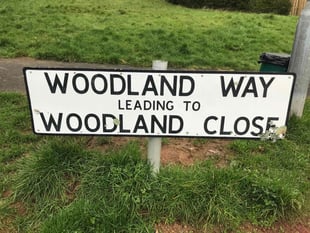 Autumn action day plans refresh for Woodland Way in Gunnislake 