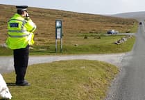 Dog training 'key' to protecting Dartmoor livestock