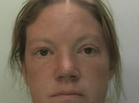 Two suspects arrested after crime spree