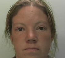 Two suspects arrested after crime spree
