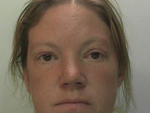 Two suspects arrested after crime spree