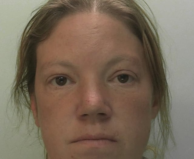 Two suspects arrested after crime spree