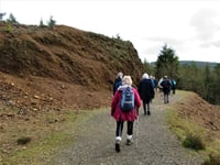 Organised walks explore the autumnal landscape of Tamar Valley