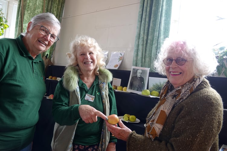 Anne Crozier, left, and Dr Frances Howard help with identification of apples brought by Vivien Prideaux. Picture: Ann Parsons