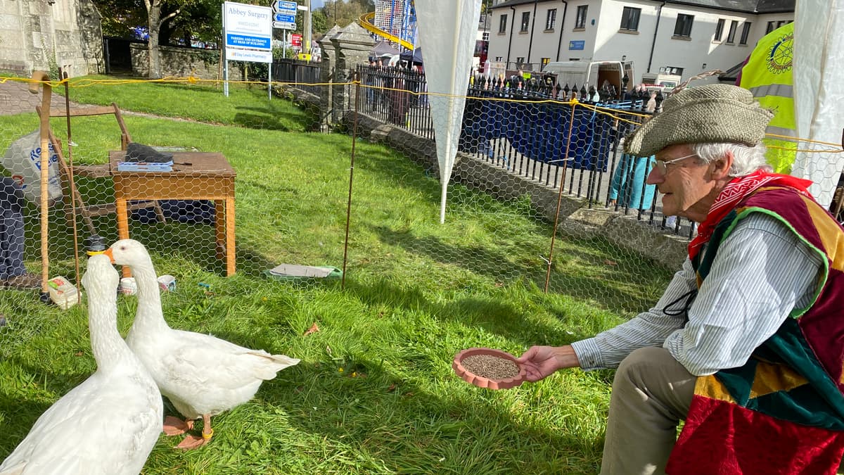Tavistock Goose Fair is buzzing tavistocktoday.co.uk