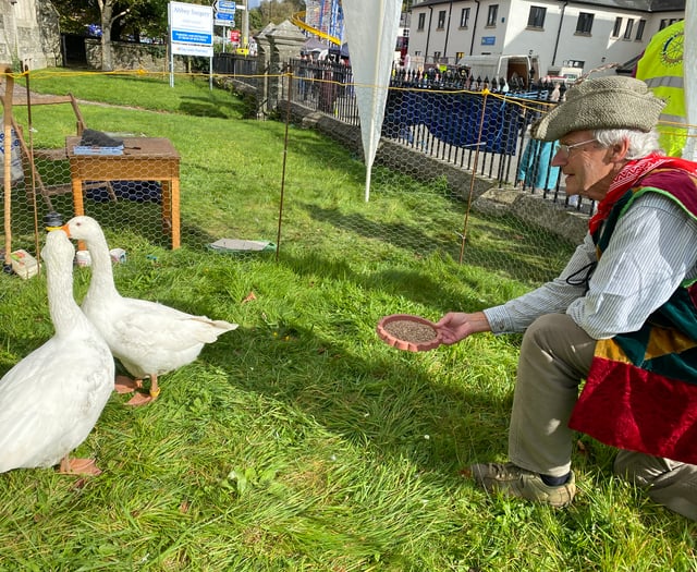 Tavistock Goose Fair is buzzing 