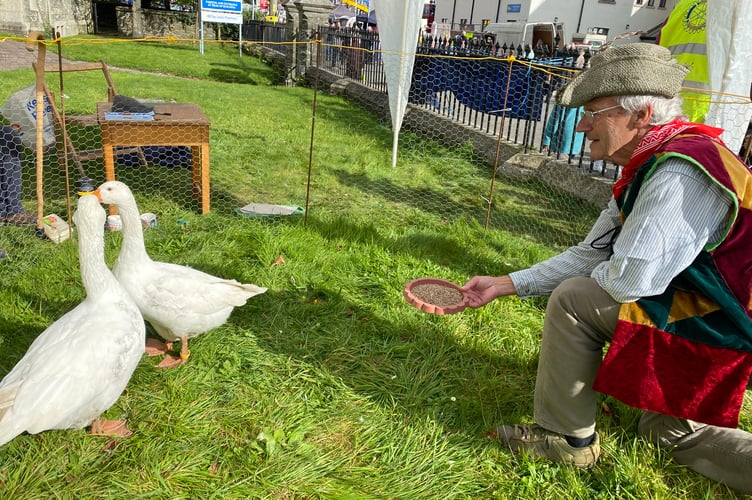 The only geese at Tavistock Goose Fair with handler Ray Stenning at the Rotary Club stand.