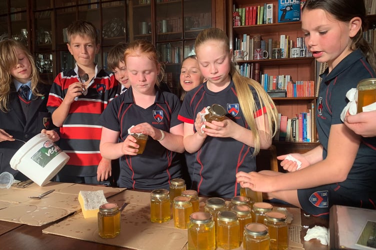 Young beekeepers from Mount Kelly College collecting liquid gold from their school hives.