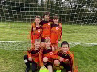 Fantastic little foxes