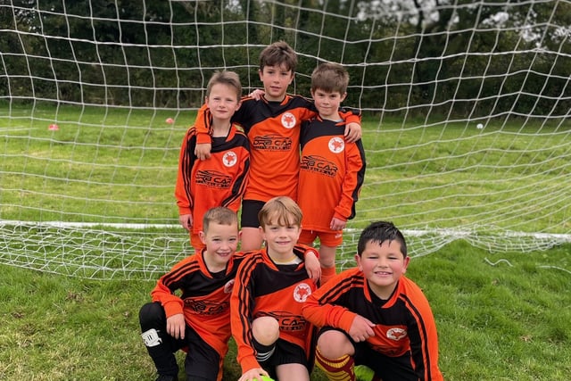 Fantastic little foxes