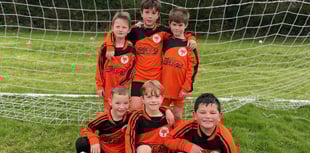 Fantastic little foxes