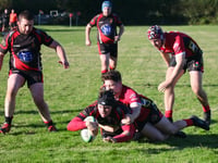 Second-half fightback not quite enough for Tavi