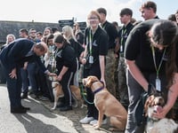 Fingerprints, fridge cake and friendly dogs steal show at royal visit