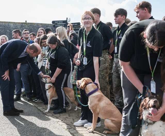 Fingerprints, fridge cake and friendly dogs steal show at royal visit