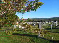 Break in at Callington council cemetery site