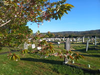 Break in at Callington council cemetery site