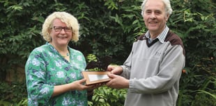 Volunteer's  bat conservation award