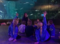 Scouts sleep with the fish