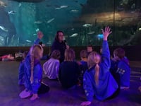 Scouts sleep with the fish