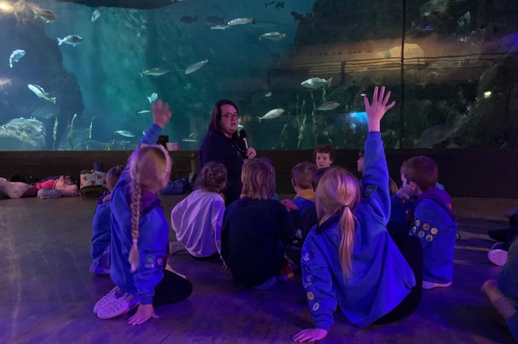 West Devon Beaver Scouts at Plymouth National Marine Aquarium for a sleepover.