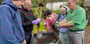 Cancer patients' garden therapy