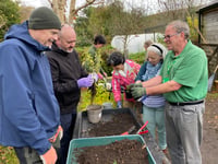Cancer patients' garden therapy