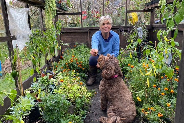 Annie Charles, who runs the Blooming Well gardening therapy project, in her greenhouse with her dog Rosie.