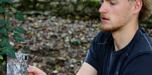 Feature: Going where the wild bears roam