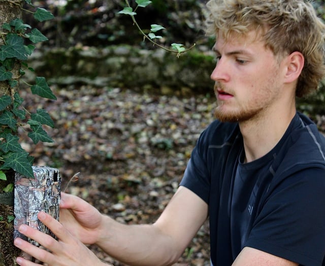 Feature: Going where the wild bears roam
