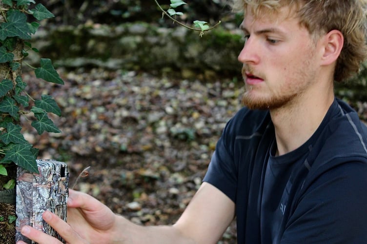 Rui Machin setting up the remote camera trap to monitor wildlife – he first used these to watch foxes with his father in the Tamar Valley