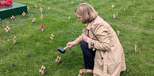 MP plants a poppy cross at the Houses of Parliament 