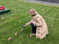 MP plants a poppy cross at the Houses of Parliament 
