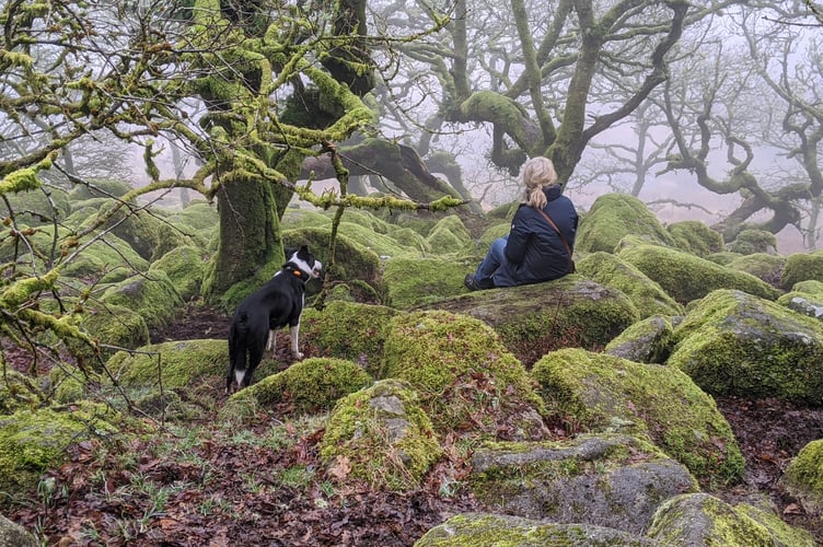 Rachel Francis and her dog on Dartmoor